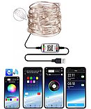 4072092408_w159_h159_girlyanda-smart-twin-rosa Гирлянда с smart приложением 200 led 20 метров RGB на USB