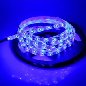 Лента 5050 LED 5 метров синяя светодиодная