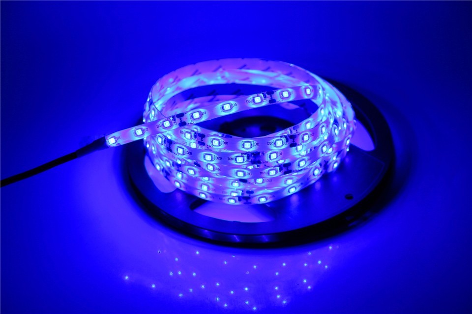 Лента_5050_LED_синяя_5_метров Лента 5050 LED 5 метров синяя светодиодная