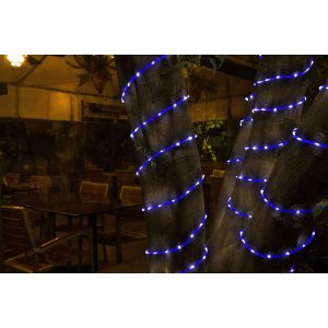 Светодиодный шланг дюралайт 20 метров синий цвет голубой 2WRL LED blue