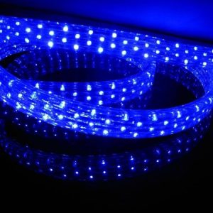 Квадратный шланг дюралайт LED 2WRL синий 100 метров